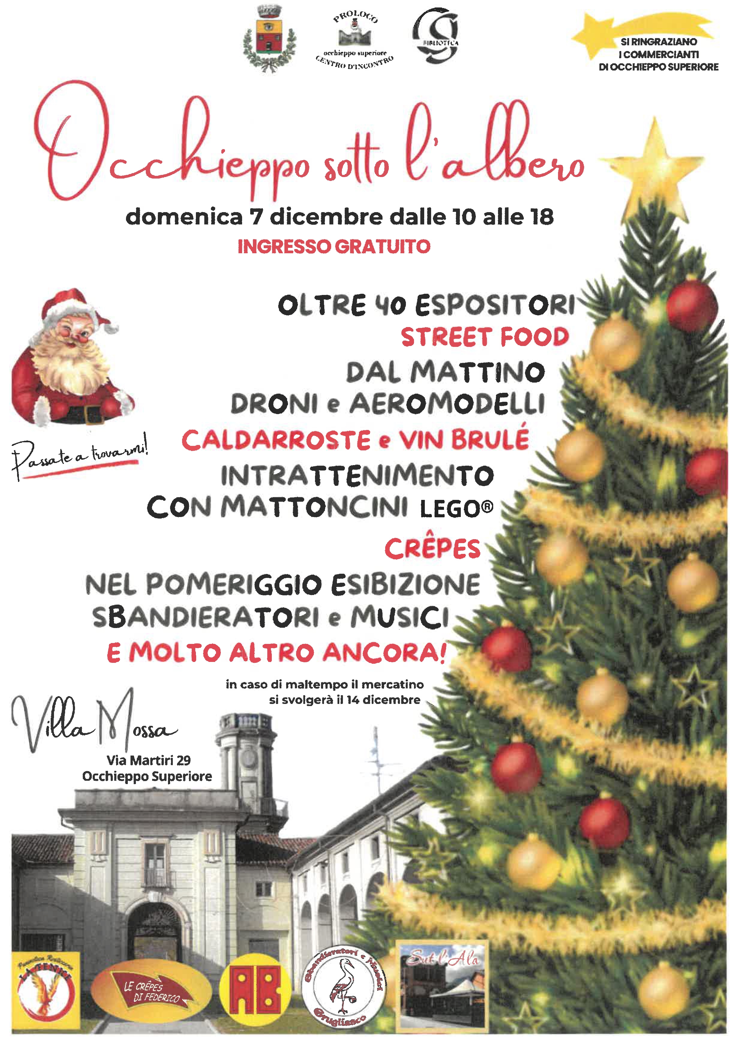 Occhieppo sotto l'albero